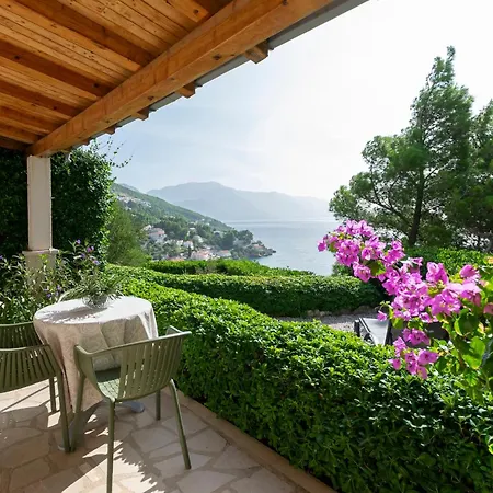 Olive Sea View Apartmán Mimice