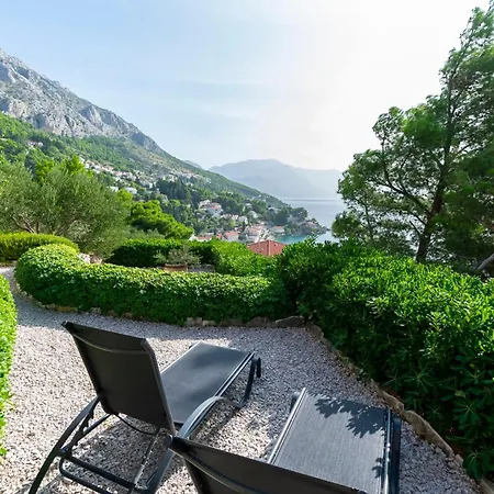 Olive Sea View Mimice