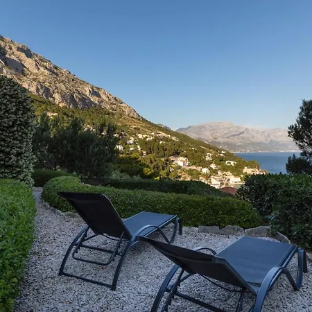 Olive Sea View Mimice