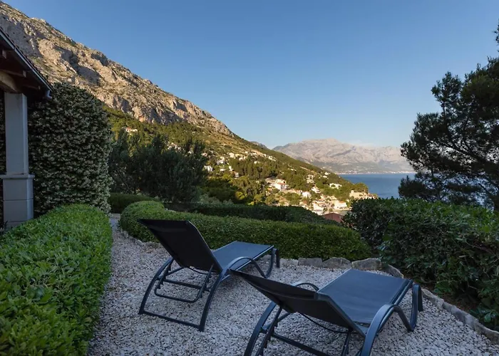 Olive Sea View Mimice