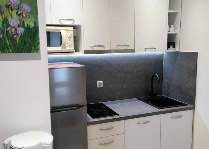 Apartman Olive Sea View Mimice